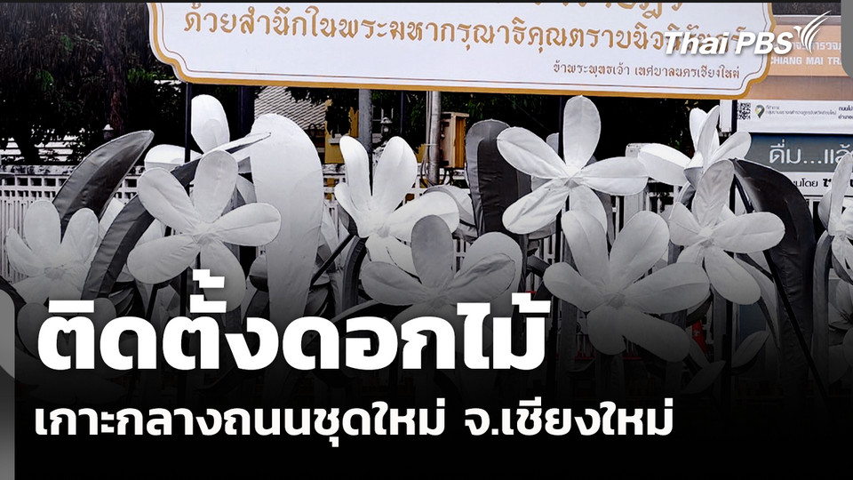 ติดตั้งดอกไม้เกาะกลางถนนชุดใหม่ จ.เชียงใหม่ 