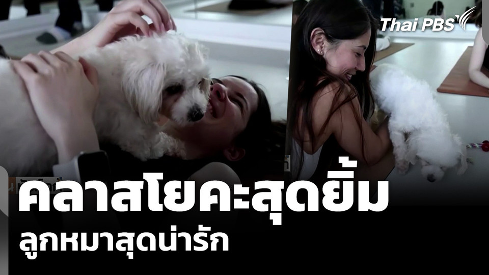 คลาสโยคะสุดยิ้ม ลูกหมาสุดน่ารัก
