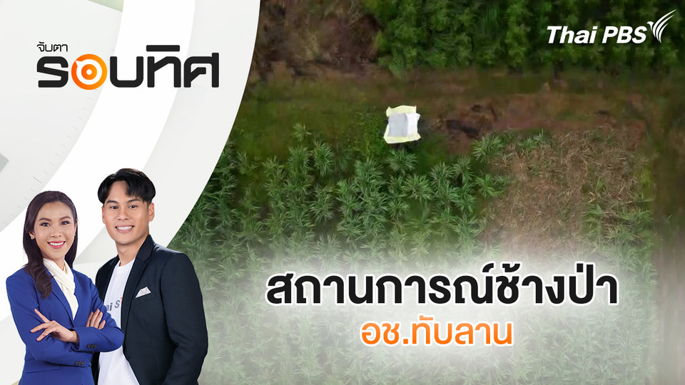สถานการณ์ช้างป่า อช.ทับลาน | จับตารอบทิศ | 4 พ.ย. 68