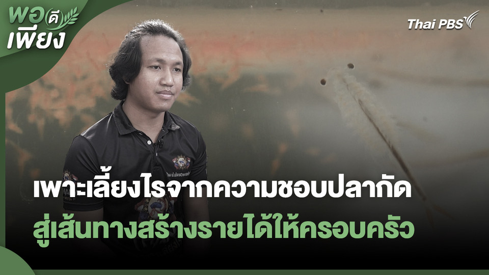 พอดีพอเพียง : เพาะเลี้ยงไรจากความชอบปลากัด สู่เส้นทางสร้างรายได้ให้ครอบครัว