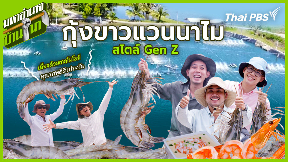 กุ้งขาวแวนนาไม สไตล์ Gen Z เลี้ยงด้วยเทคโนโลยี คุณภาพดีรับประกัน