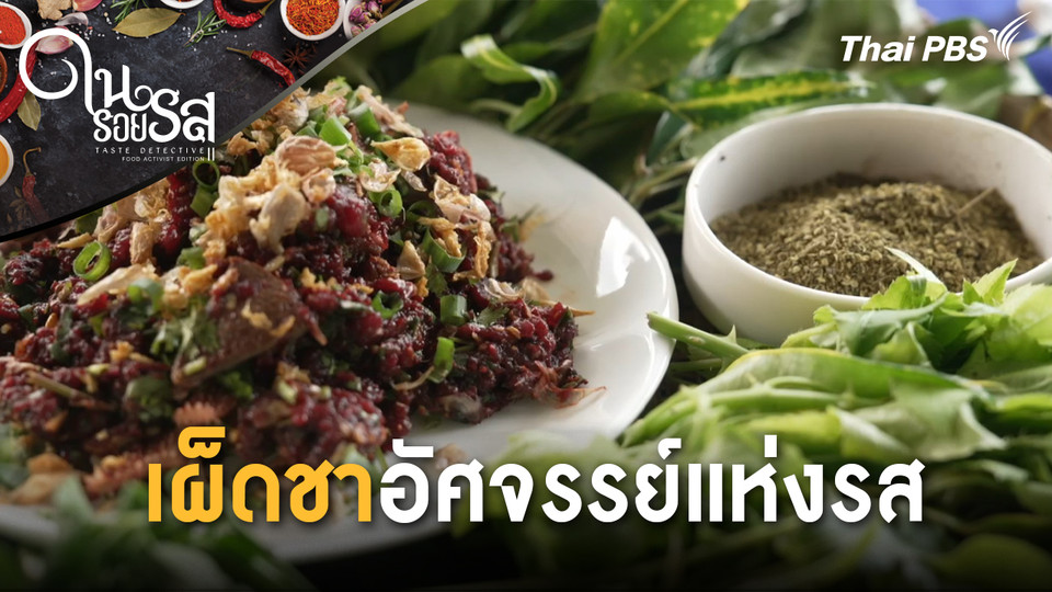 เผ็ดชาอัศจรรย์แห่งรส