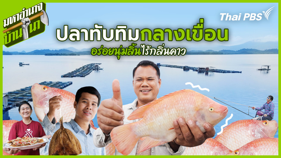 ปลาทับทิมกลางเขื่อน อร่อยนุ่มลิ้นไร้กลิ่นคาว