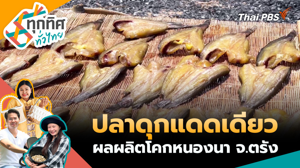 ปลาดุกแดดเดียวผลผลิตโคกหนองนา จ.ตรัง