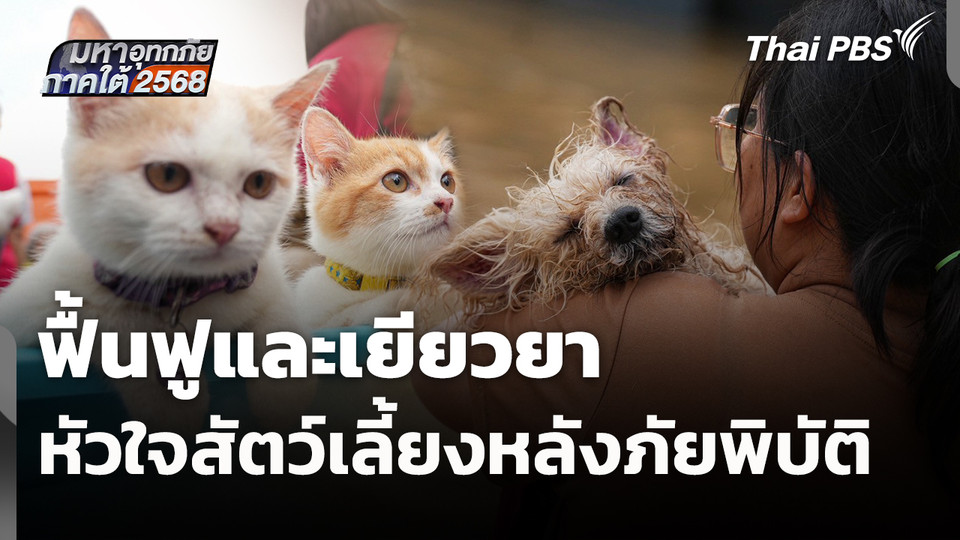ฟื้นฟูและเยียวยาหัวใจสัตว์เลี้ยงหลังภัยพิบัติ