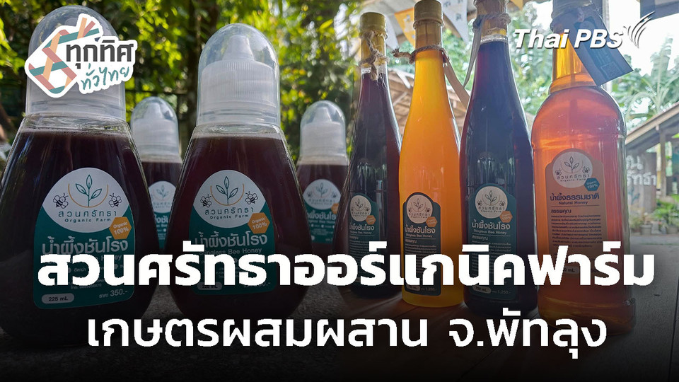 สวนศรัทธาออร์แกนิคฟาร์ม แหล่งเรียนรู้เกษตรผสมผสาน จ.พัทลุง