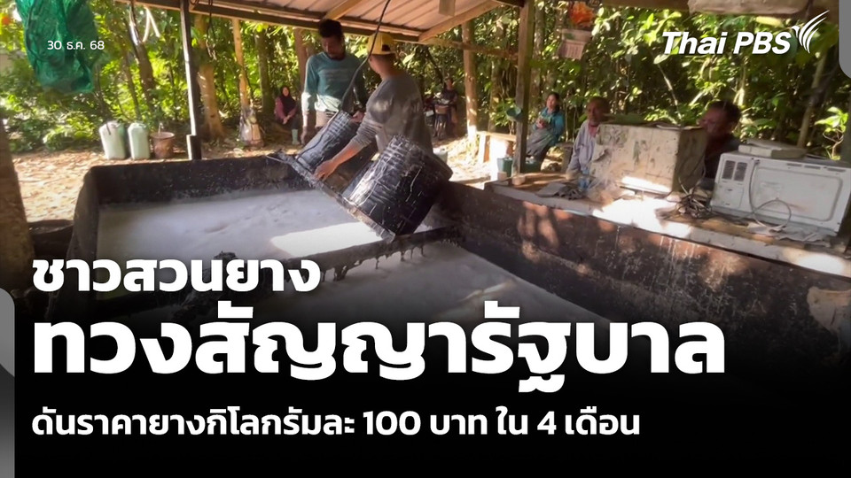 ชาวสวนยาง ทวงสัญญารัฐบาล ดันราคายางกิโลกรัมละ 100 บาท ใน 4 เดือน