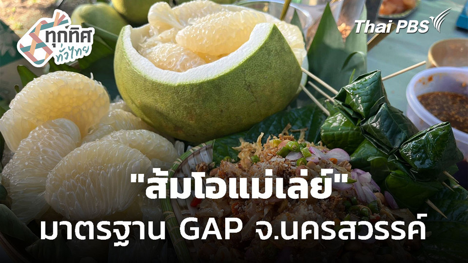 ผลิตส้มโอคุณภาพ "ส้มโอแม่เล่ย์" จ.นครสวรรค์ 