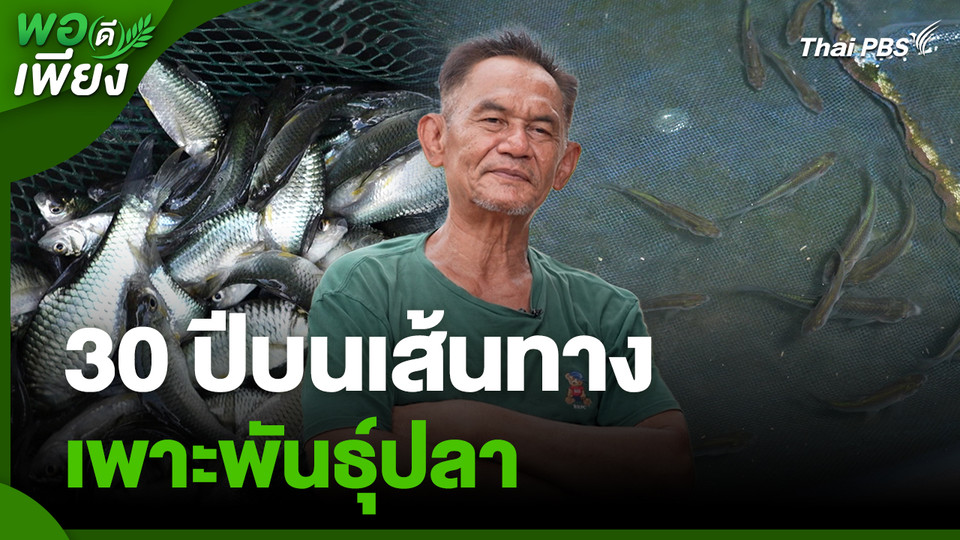 พอดีพอเพียง : 30 ปีบนเส้นทางเพาะพันธุ์ปลา