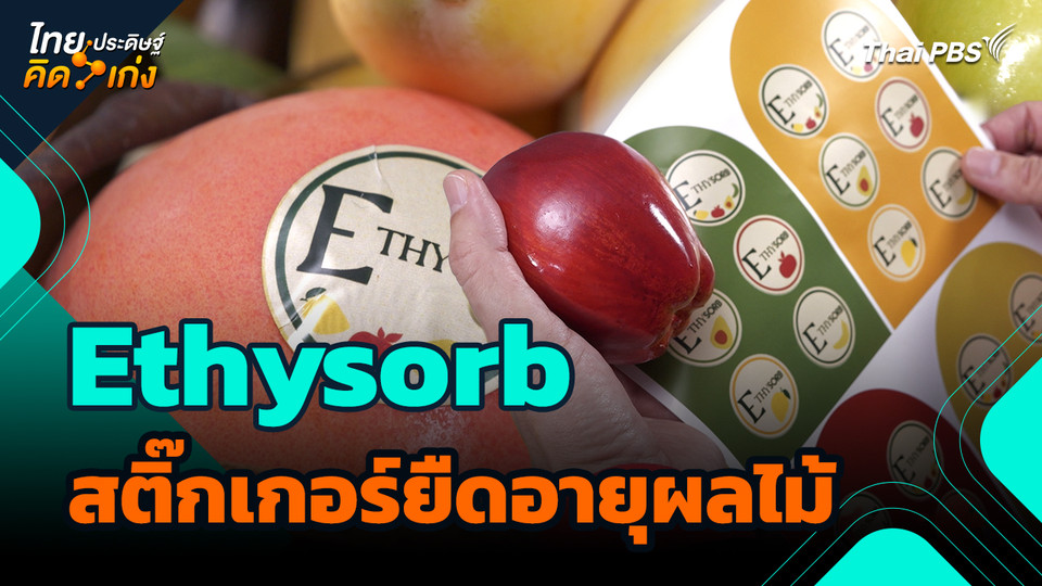 ไทยประดิษฐ์คิดเก่ง : Ethysorb สติ๊กเกอร์ยืดอายุผลไม้