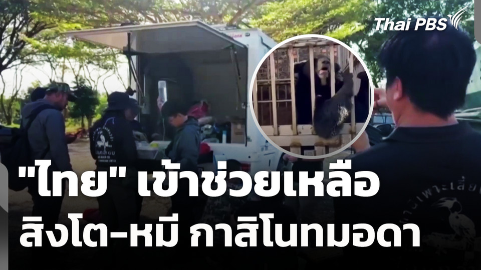 "ไทย" เข้าช่วยเหลือสิงโต-หมี กาสิโนทมอดา