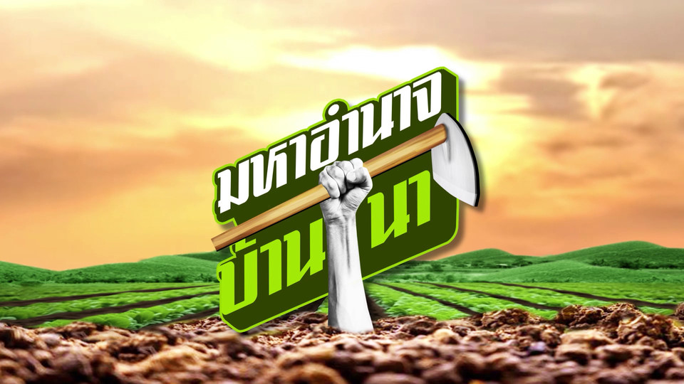 เซียนท้อพลิกชีวิต ปลูกง่ายไม่ง้อเซียน