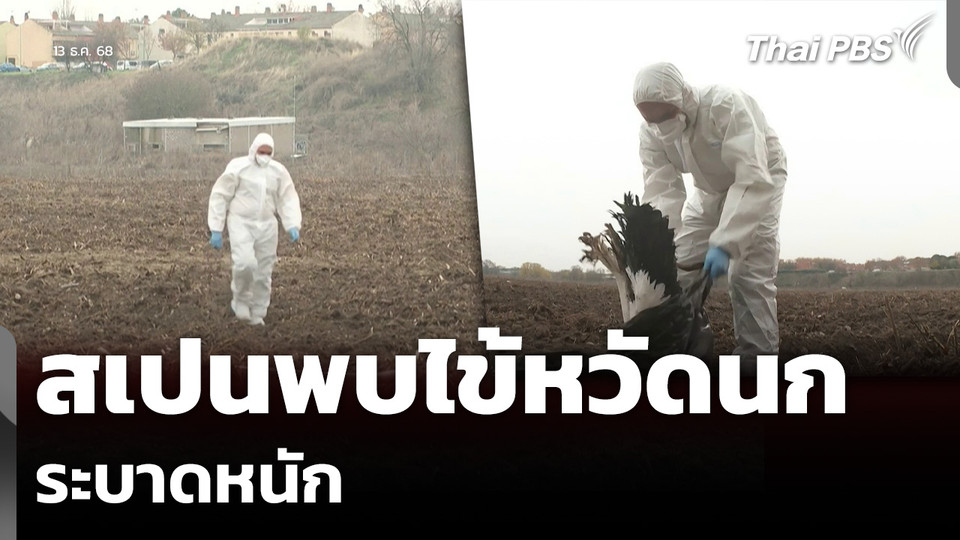 สเปนพบไข้หวัดนก ระบาดหนัก