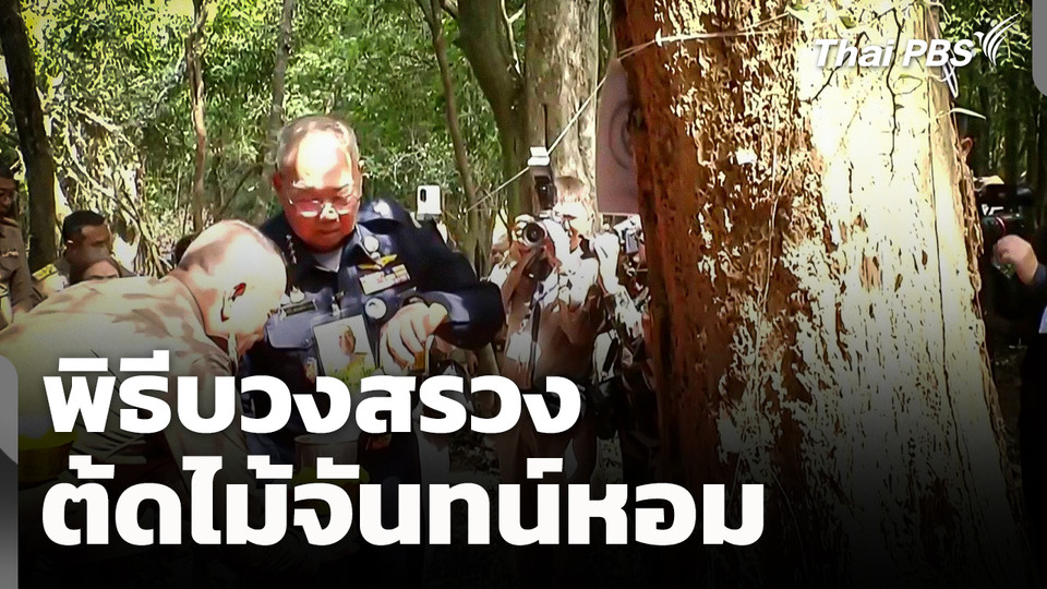 พิธีบวงสรวงตัดไม้จันทน์หอม