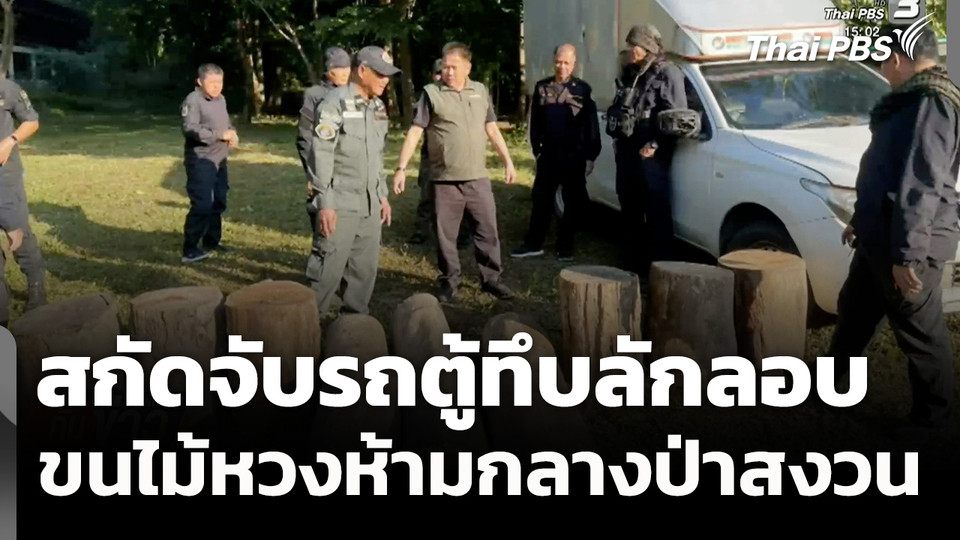 สกัดจับรถตู้ทึบลักลอบลำเลียงไม้หวงห้ามกลางป่าสงวน