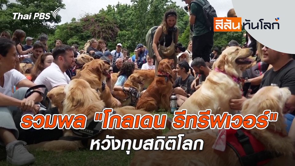 รวมพล "โกลเดน รีทรีฟเวอร์" หวังทุบสถิติโลก | 20 ธ.ค. 68