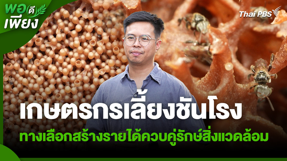 พอดีพอเพียง : เกษตรกรเลี้ยงชันโรง ทางเลือกสร้างรายได้ควบคู่รักษ์สิ่งแวดล้อม