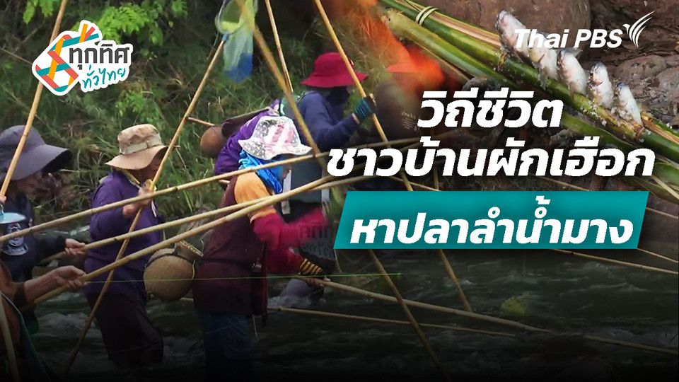 วิถีชีวิตชาวบ้านผักเฮือกหาปลาลำน้ำมาง