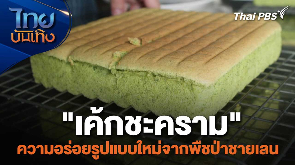 อิ่มมนต์รส : "เค้กชะคราม" ความอร่อยรูปแบบใหม่จากพืชป่าชายเลน