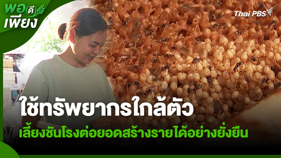 พอดีพอเพียง : ใช้ทรัพยากรใกล้ตัว เลี้ยงชันโรงต่อยอดสร้างรายได้อย่างยั่งยืน