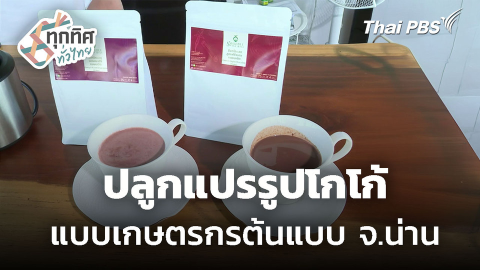 เกษตรกรรุ่นใหม่ ปลูกแปรรูปโกโก้ จ.น่าน 