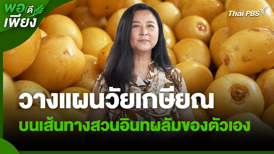 พอดีพอเพียง : วางแผนวัยเกษียณ บนเส้นทางสวนอินทผลัมของตัวเอง