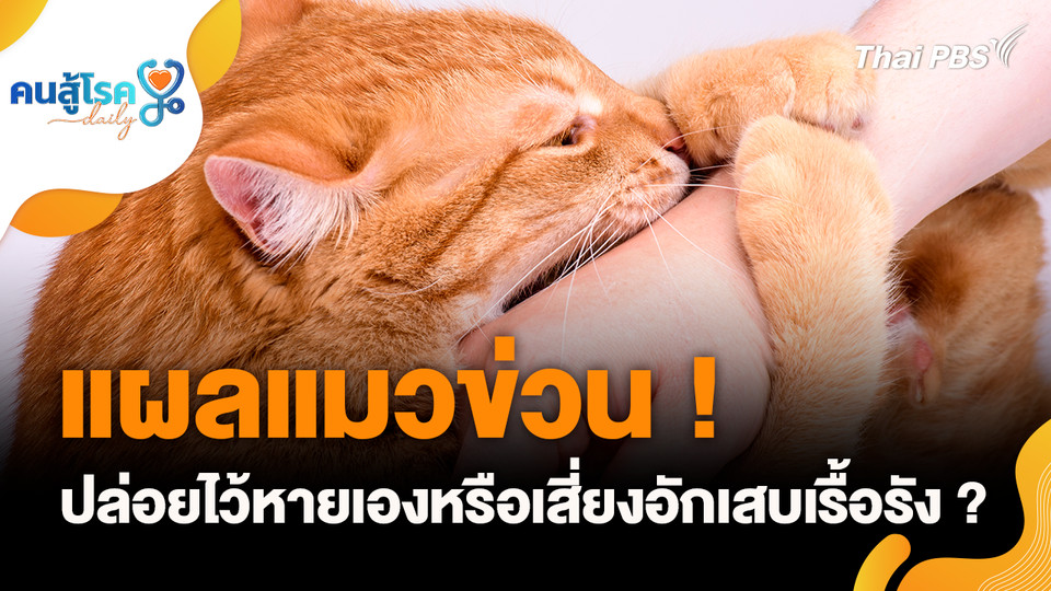 แผลแมวข่วน ! ปล่อยไว้หายเองหรือเสี่ยงอักเสบเรื้อรัง ?