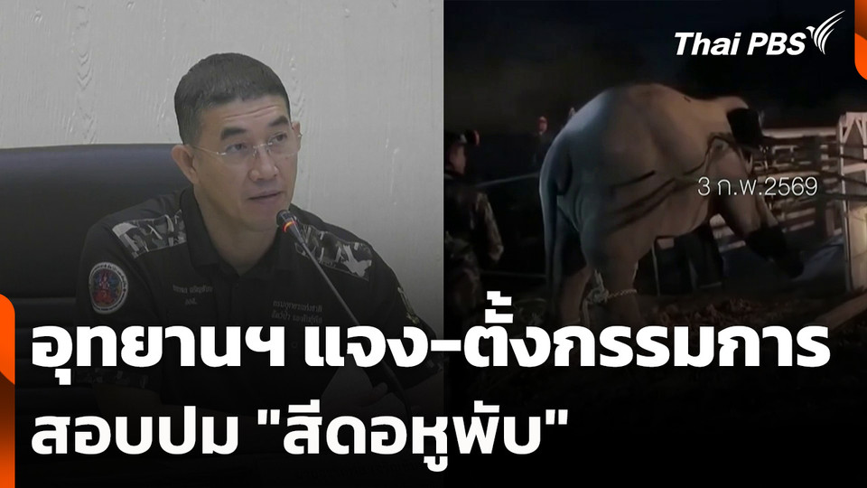 อุทยานฯ แจง-ตั้งกรรมการสอบปม "สีดอหูพับ"