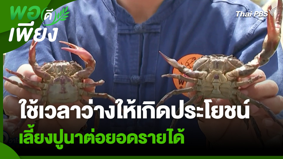 ใช้เวลาว่างให้เกิดประโยชน์ เลี้ยงปูนาต่อยอดรายได้