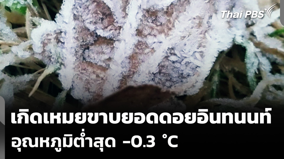 เกิดเหมยขาบบนยอดดอยอินทนนท์ จ.เชียงใหม่