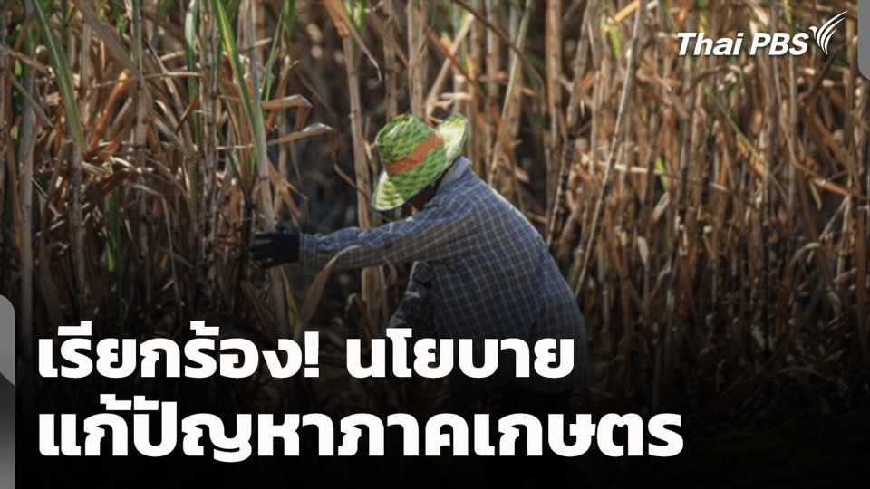 เรียกร้อง! นโยบายแก้ปัญหาภาคเกษตร