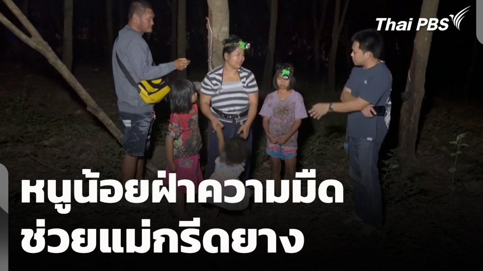 หนูน้อยฝ่าความมืดช่วยแม่กรีดยาง