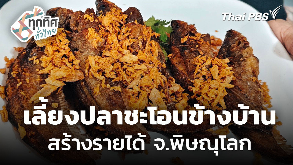 แปรรูปปลาชะโอน สร้างรายได้เสริม จ.พิษณุโลก