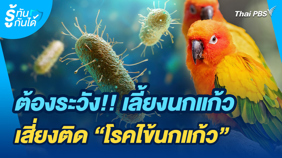รู้ทันกันได้ : ต้องระวัง!! เลี้ยงนกแก้วเสี่ยงติด “โรคไข้นกแก้ว”