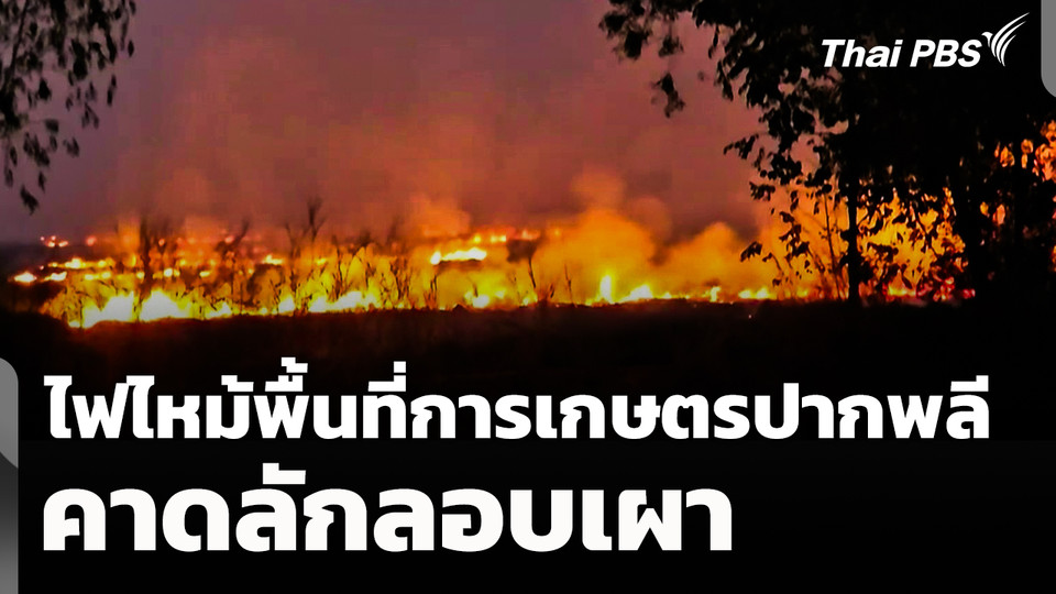 ไฟไหม้พื้นที่การเกษตรปากพลี จ.นครนายก คาดลักลอบเผา