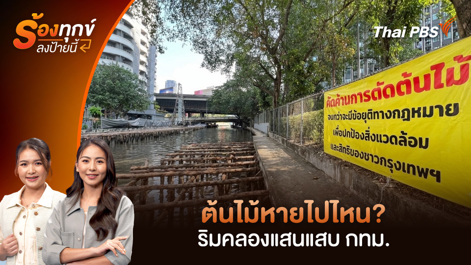 ต้นไม้หายไปไหน? ริมคลองแสนแสบ กทม.