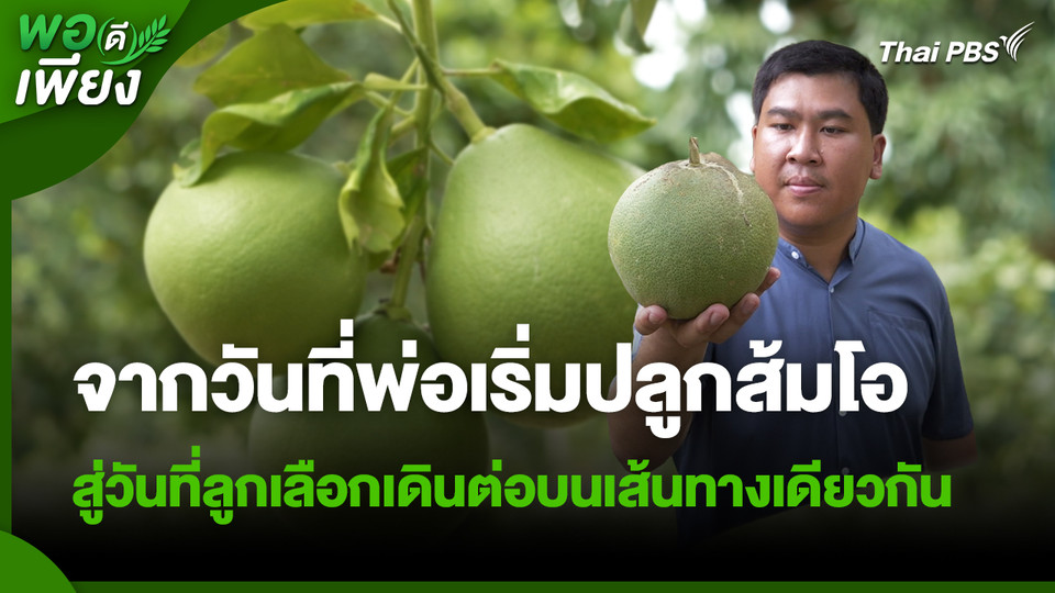 พอดีพอเพียง : จากวันที่พ่อเริ่มปลูกส้มโอ สู่วันที่ลูกเลือกเดินต่อบนเส้นทางเดียวกัน