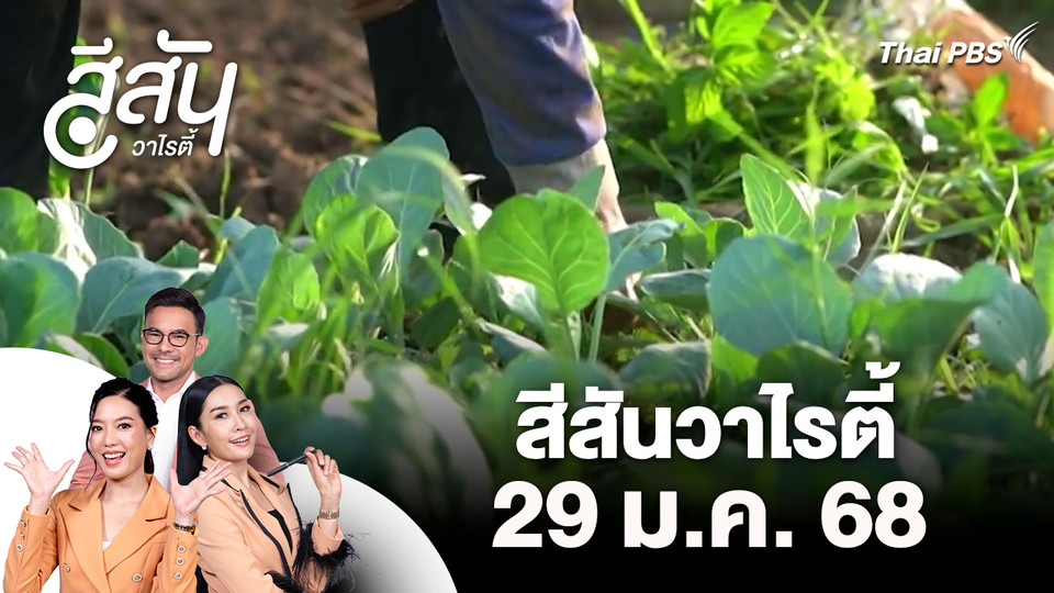 สีสันวาไรตี้ (29 ม.ค. 69)