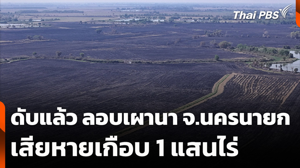 ดับแล้ว ลักลอบเผานา จ.นครนายก เสียหายเกือบ 1 แสนไร่