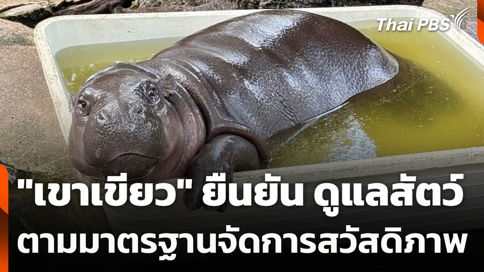 "เขาเขียว" ยืนยัน ดูแลสัตว์ตามมาตรฐานจัดการสวัสดิภาพ