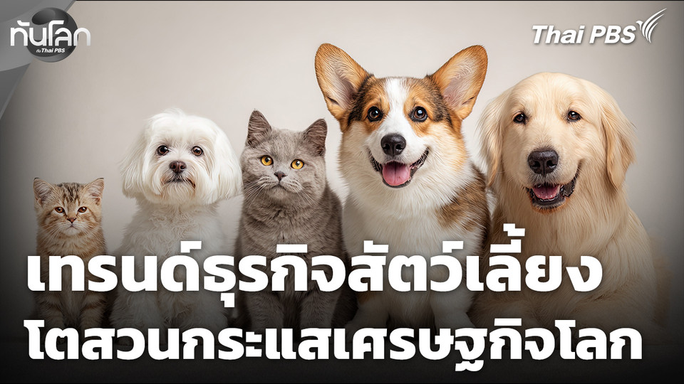 ส่องเทรนด์ธุรกิจสัตว์เลี้ยง โตสวนกระแสเศรษฐกิจโลก