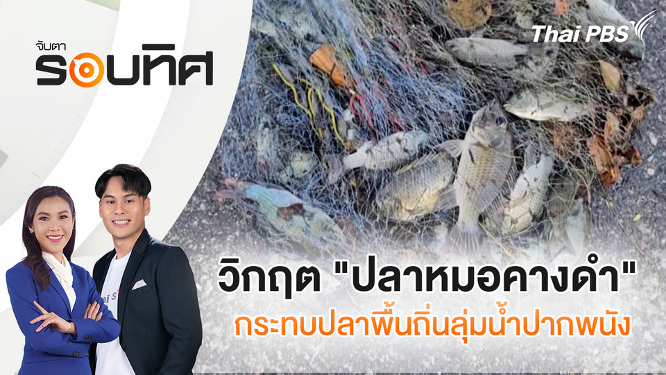 วิกฤต "ปลาหมอคางดำ" กระทบปลาพื้นถิ่นลุ่มน้ำปากพนัง | จับตารอบทิศ | 18 ก.พ. 69