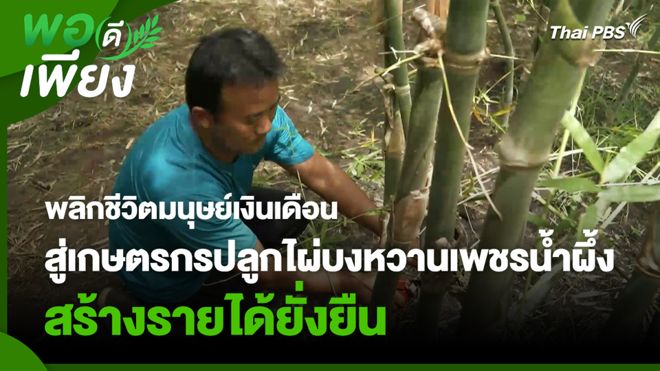 พลิกชีวิตมนุษย์เงินเดือน สู่เกษตรกรปลูกไผ่บงหวานเพชรน้ำผึ้ง สร้างรายได้ยั่งยืน