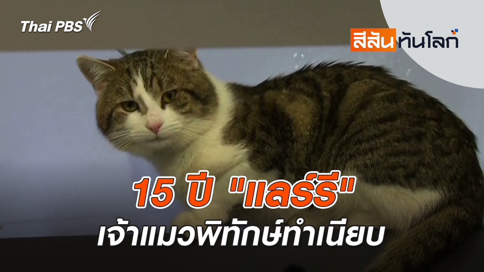 15 ปี "แลร์รี" เจ้าแมวพิทักษ์ทำเนียบ | 22 ก.พ. 69