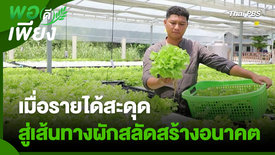 เมื่อรายได้สะดุด สู่เส้นทางผักสลัดสร้างอนาคต