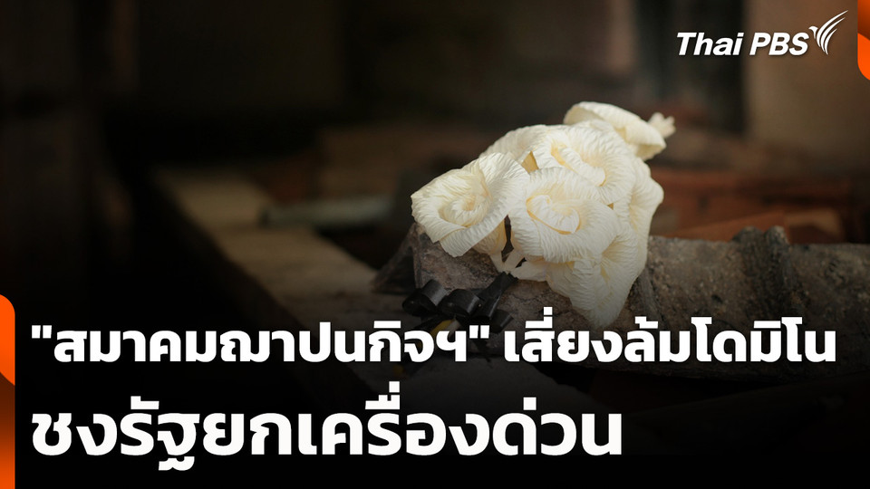 "สมาคมฌาปนกิจฯ" เสี่ยงล้มโดมิโน-ชงรัฐยกเครื่องด่วน