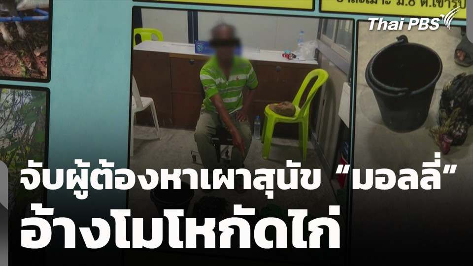 จับผู้ต้องหาเผาสุนัข “มอลลี่” อ้างโมโหกัดไก่