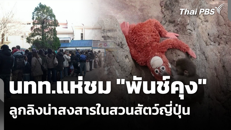 นทท.แห่ชม "พันช์คุง" ลูกลิงน่าสงสารในสวนสัตว์ญี่ปุ่น