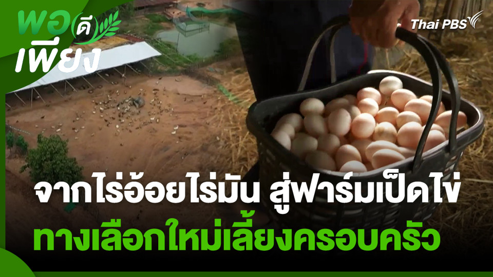 จากไร่อ้อยไร่มัน สู่ฟาร์มเป็ดไข่ ทางเลือกใหม่เลี้ยงครอบครัว