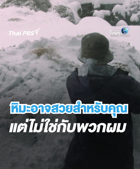 หิมะอาจจะสวยสำหรับคุณ แต่ไม่ใช่กับพวกผม | ท่องโลกกว้าง